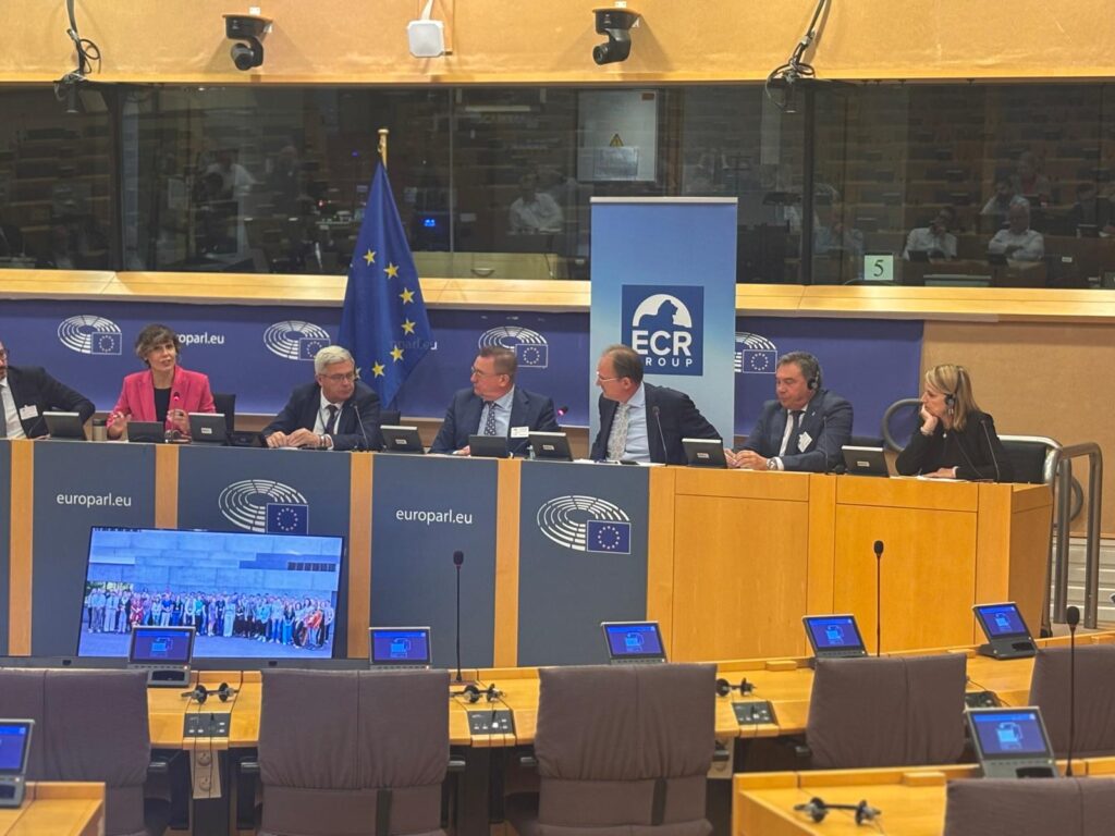 Pedro Sánchez Yebra en su intervención en el Parlamento Europeo